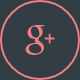 Google+