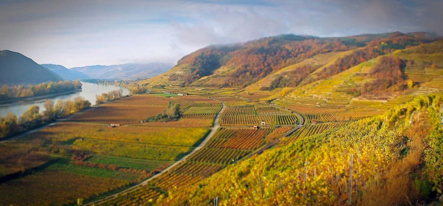 Tipps Wachau