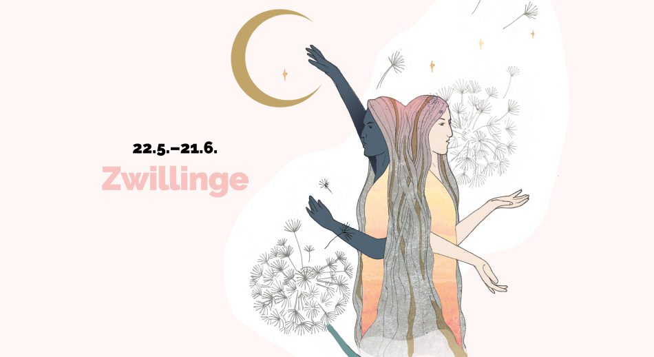 Illustration Sternzeichen Zwillinge